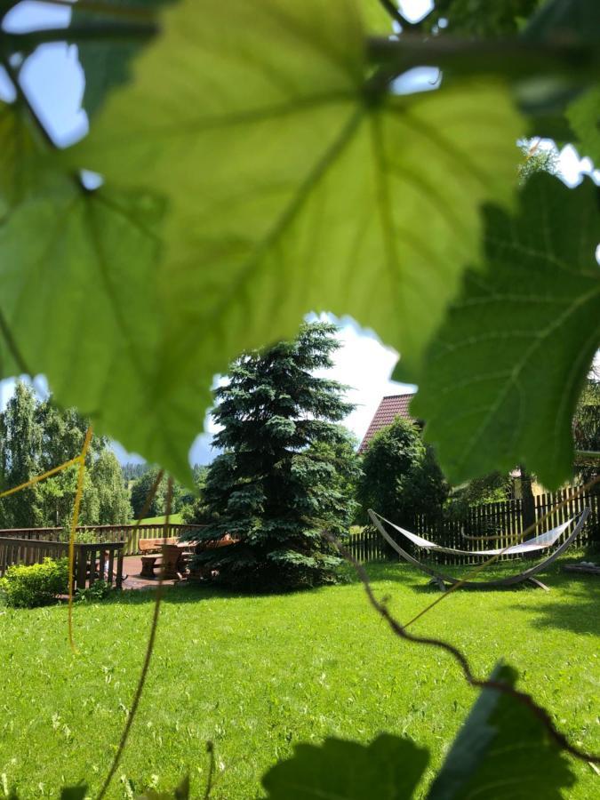 Siumno Izba B&B Brzegi Dış mekan fotoğraf